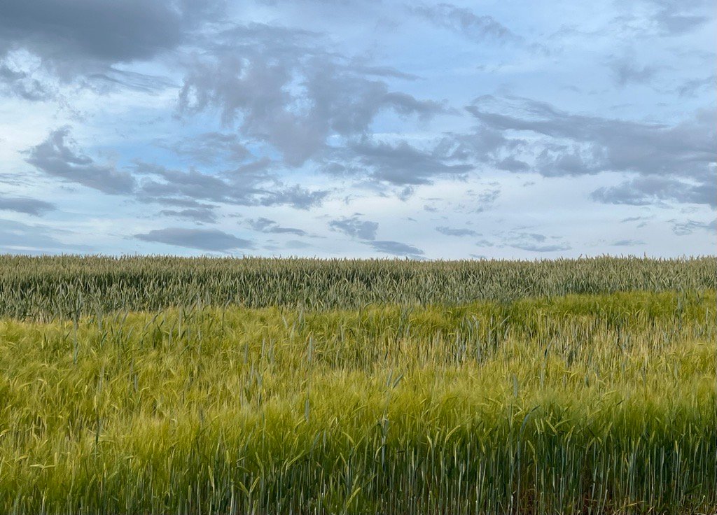 Open Shropshire fields beneath a blue, clouded sky